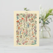 Fleurs Botanisch natuurkweekdiagram (Staand voorkant)