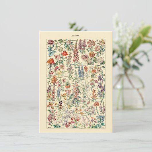 Fleurs Botanisch natuurkweekdiagram (Staand voorkant)