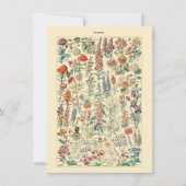 Fleurs Botanisch natuurkweekdiagram (Voorkant)