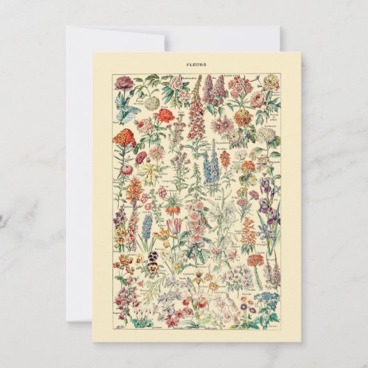 Fleurs Botanisch natuurkweekdiagram (Voorkant)