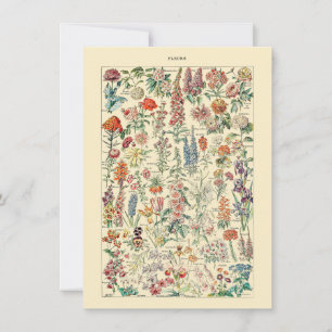 Fleurs Botanisch natuurkweekdiagram