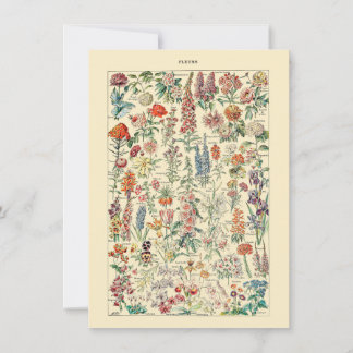 Fleurs Botanisch natuurkweekdiagram