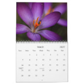Fleurs de la Muse Kalender (Mar 2027)