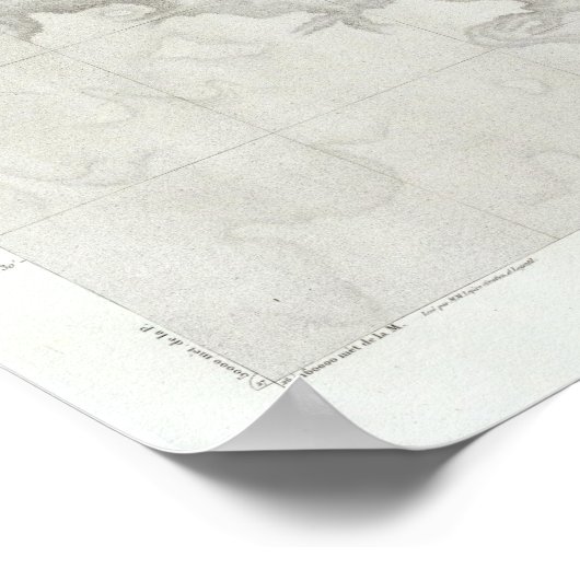 Fleuve Sans Eau, Egypte Poster (Hoek)