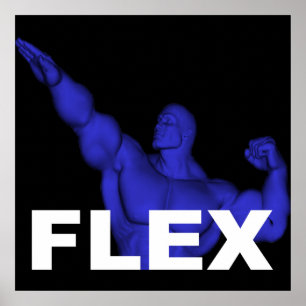 Flex Bodybuilding-Poster Poster