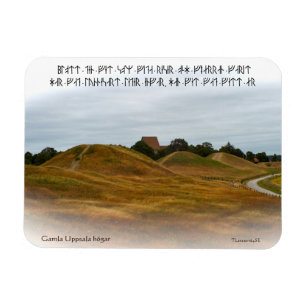 Flexi magnet - Kungshögarna Magneet