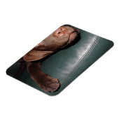 Flexi Magnet Labrador Lorenzo Magneet (Linkerzijde)