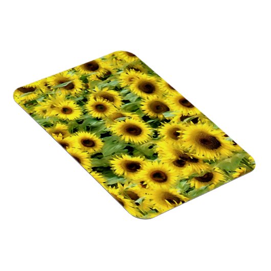 Flexibel fotomagneet magneet (Rechterzijde)