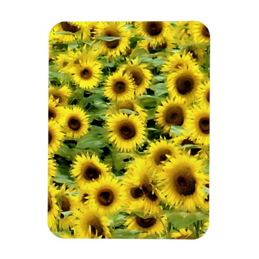 Flexibel fotomagneet magneet (Verticaal)