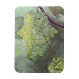 Flexibel fotomagneet magneet