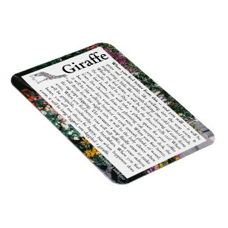 Flexibel fotomagneet magneet