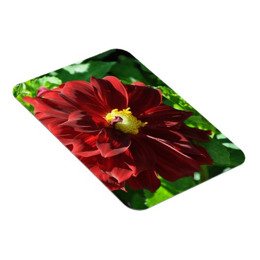 Flexibel fotomagneet magneet (Rechterzijde)