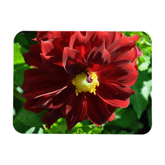 Flexibel fotomagneet magneet (Horizontaal)