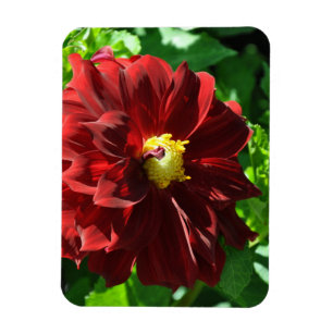 Flexibel fotomagneet magneet