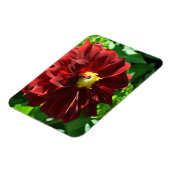 Flexibel fotomagneet magneet (Linkerzijde)