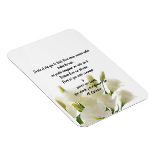 Flexibel fotomagneet magneet