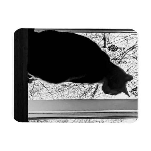 Flexibel fotomagneet magneet (Horizontaal)