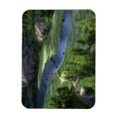 Flexibel magneet met Cwm-omvang (Verticaal)