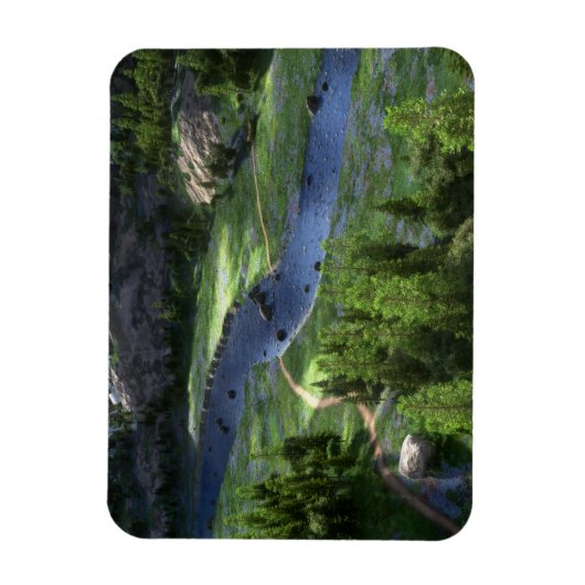 Flexibel magneet met Cwm-omvang (Verticaal)