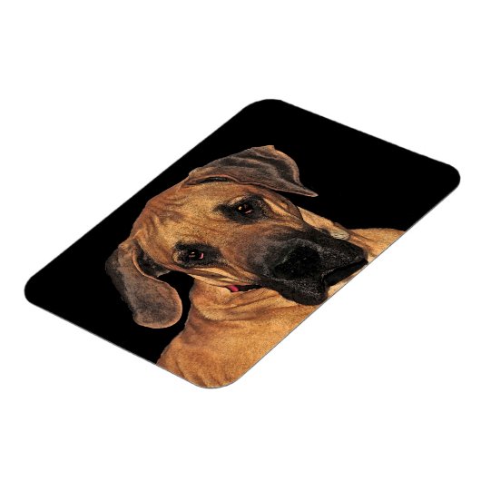 Flexibel magneet met daandog (Linkerzijde)