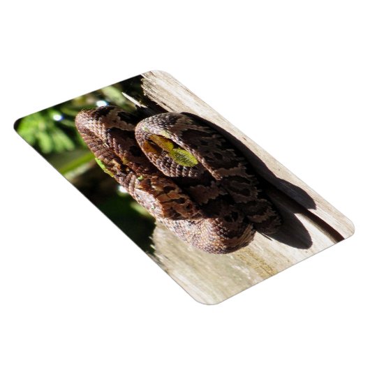 Flexibel magneet met watermoccaïne (Rechterzijde)