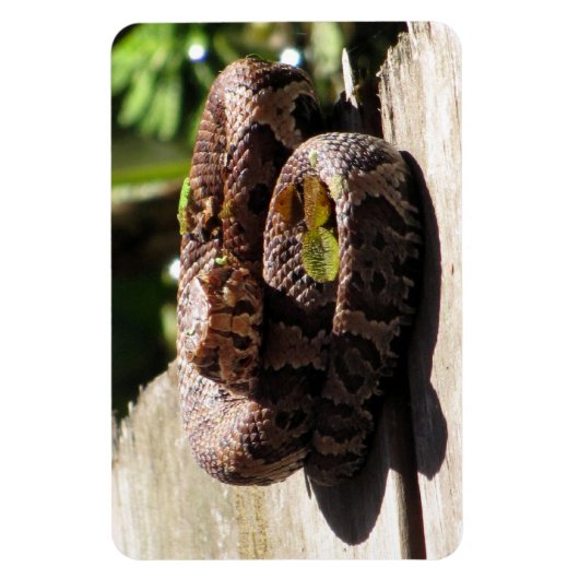Flexibel magneet met watermoccaïne (Verticaal)