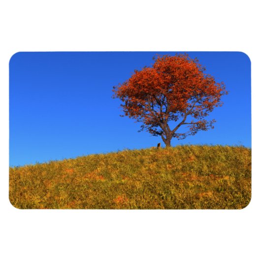 Flexibel magneet op de volgende dag wissen (Horizontaal)