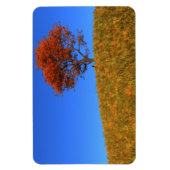 Flexibel magneet op de volgende dag wissen (Verticaal)