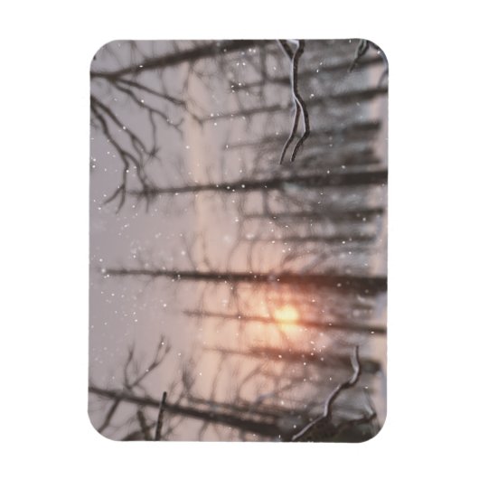 Flexibel magneet uit de droom van een Winternacht (Verticaal)