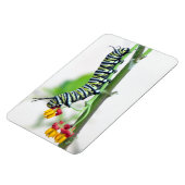 Flexibel magneet voor de Monarch-driepijlervormig  (Linkerzijde)