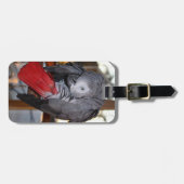 Flexibele Congo-Afrikaanse grijze papegaai met rod Bagagelabel (Voorkant horizontaal)