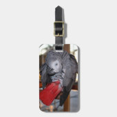 Flexibele Congo-Afrikaanse grijze papegaai met rod Bagagelabel (Voorkant verticaal)