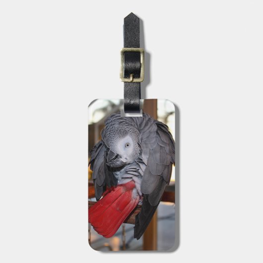 Flexibele Congo-Afrikaanse grijze papegaai met rod Bagagelabel (Voorkant verticaal)