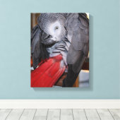 Flexibele Congo-Afrikaanse grijze papegaai met rod Canvas Afdruk (Insitu (Houten vloer))