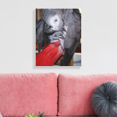 Flexibele Congo-Afrikaanse grijze papegaai met rod Canvas Afdruk (Insitu (Woonkamer))