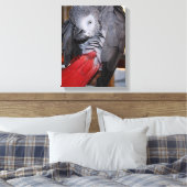 Flexibele Congo-Afrikaanse grijze papegaai met rod Canvas Afdruk (Insitu (Slaapkamer))