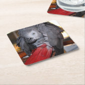 Flexibele Congo-Afrikaanse grijze papegaai met rod Kartonnen Onderzetters (Schuin)