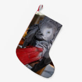 Flexibele Congo-Afrikaanse grijze papegaai met rod Kleine Kerstsok (Voorkant (Hangend))