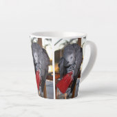 Flexibele Congo-Afrikaanse grijze papegaai met rod Latte Mok (Rechterhoek)