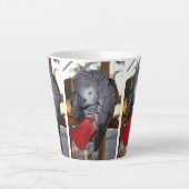 Flexibele Congo-Afrikaanse grijze papegaai met rod Latte Mok (Voorkant)