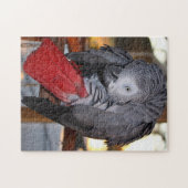 Flexibele Congo-Afrikaanse grijze papegaai met rod Legpuzzel (Horizontaal)