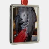 Flexibele Congo-Afrikaanse grijze papegaai met rod Metalen Ornament (Rechts)