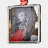 Flexibele Congo-Afrikaanse grijze papegaai met rod Metalen Ornament (Links)