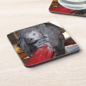 Flexibele Congo-Afrikaanse grijze papegaai met rod Onderzetter (Linkerzijde)