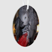 Flexibele Congo-Afrikaanse grijze papegaai met rod Ornament (voorkant)