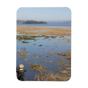Flexibele foto-magneet van Morecambe Bay met hoge Magneet