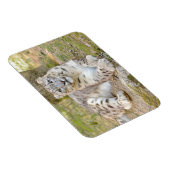 Flexibele fotokattensneeuwblaasjes, dieren. magneet (Rechterzijde)