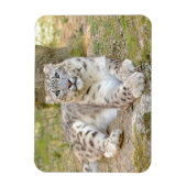 Flexibele fotokattensneeuwblaasjes, dieren. magneet (Verticaal)