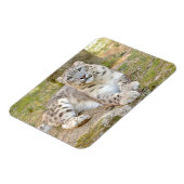 Flexibele fotokattensneeuwblaasjes, dieren. magneet (Linkerzijde)