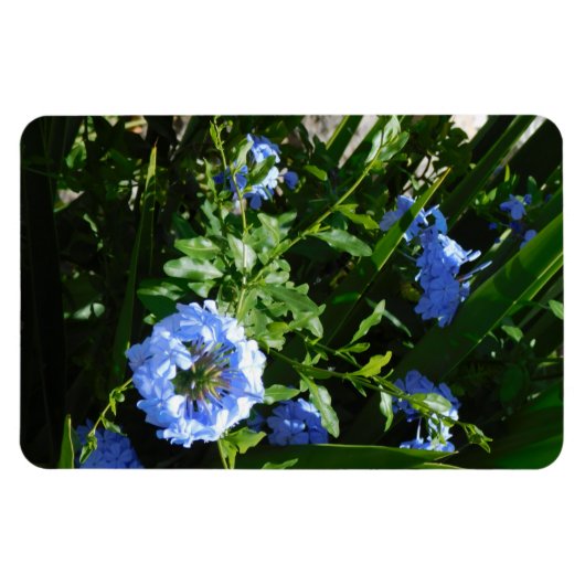 Flexibele Fotomagneet bloem blauw ontwerp Magneet (Horizontaal)